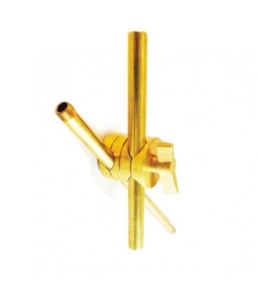 Torsion de la rotule