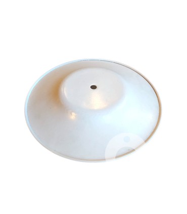 el plato de la abuela